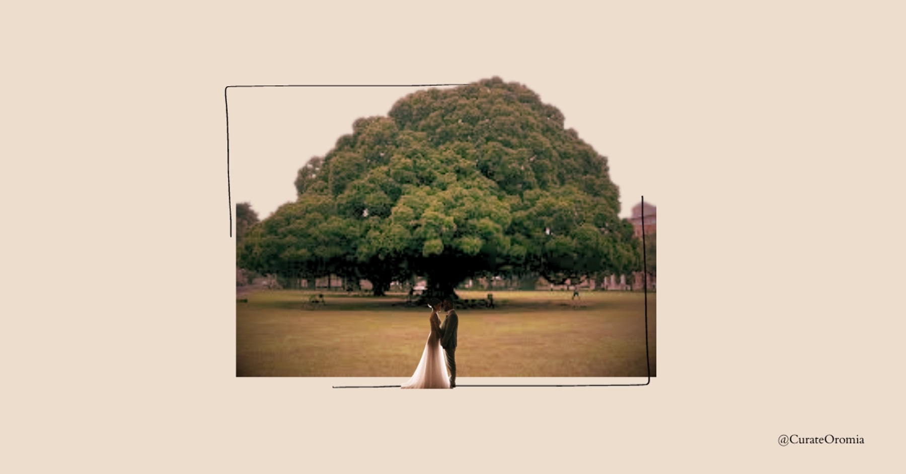 Protocols Of A Traditional Oromo Marriage Proposal